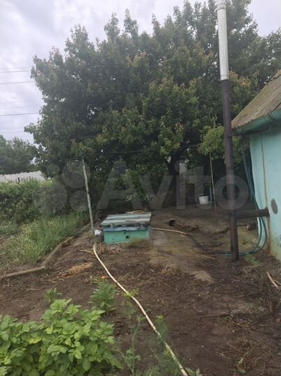 Дом 41 м² на участке 17 сот.