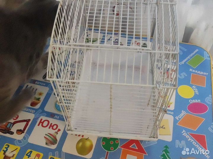 Клетка для грызунов маленькая