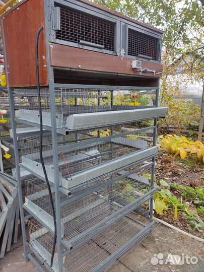 Клетки для перепелов бу