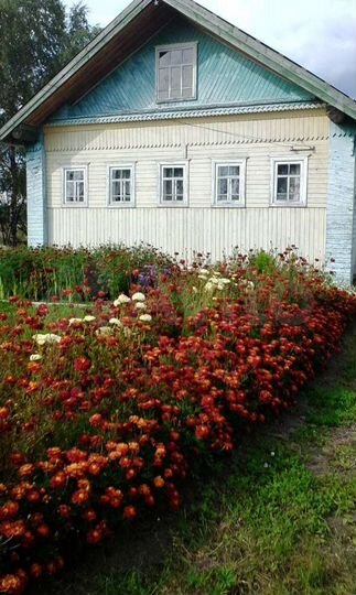 Дом 60 м² на участке 15 сот.