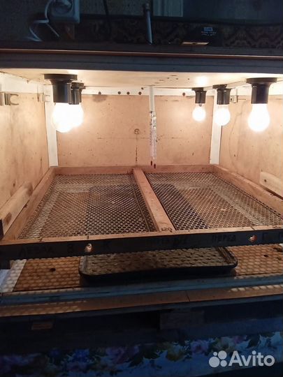 Инкубатор для яиц