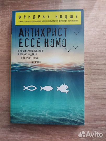 Книга Антихрист. Ницше