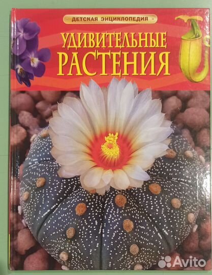 Детские книги энциклопедии