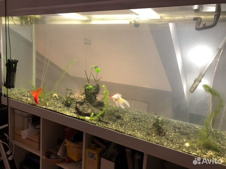 Аквариум