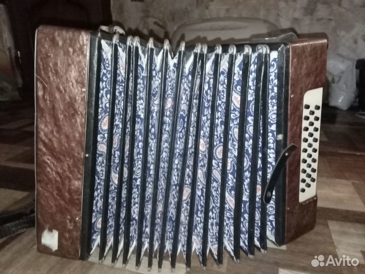 Гармонь Кубань