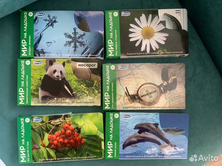 Умница методическое пособие Мир на ладошке