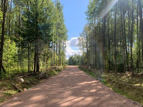 Участок 10 сот. (СНТ, ДНП)