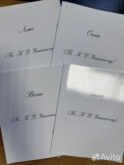 Рабочие тетради и прописи ркш