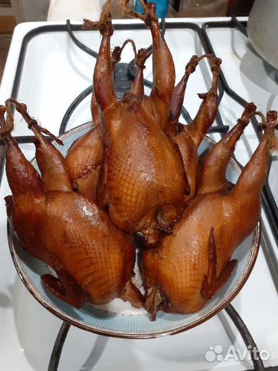 Мясо и яйца перепелов