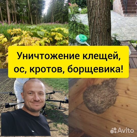 Обработка от клещей, ос, кротов, борщевика
