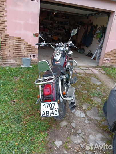 Irbis garpia