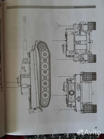 Книга полная энциклопедия тигр