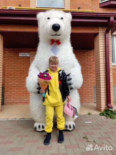 Поздравления Мишка / Панда