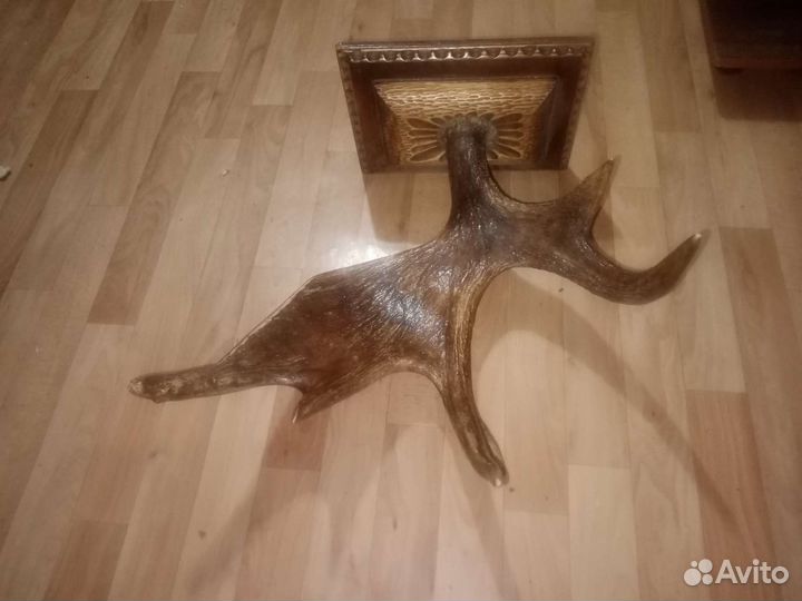 Рог лося. Вешалка