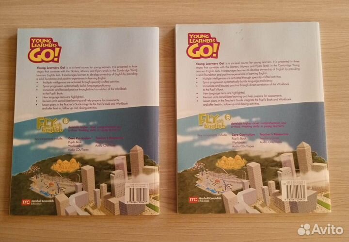 Young Learners Go. Fly with English. Part B