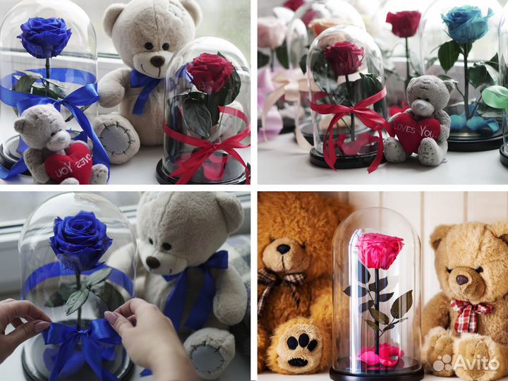 Роза в колбе Премиум Большой выбор