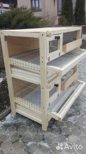 Клетка для перепелов