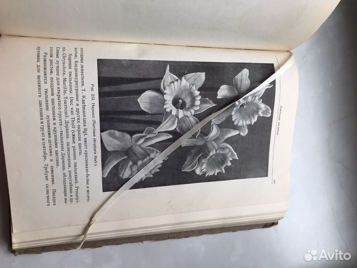 Книга-Цветоводство. 1949г