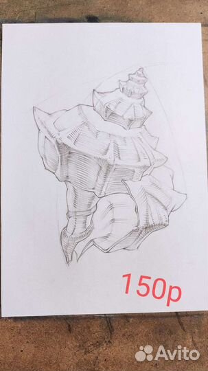 Учебные рисунки графика ракушки и жуки