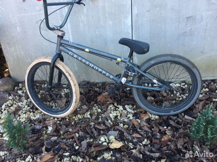 Bmx grasshopper 2020