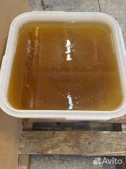 Эспарцетовый оптом сбор 2023 года