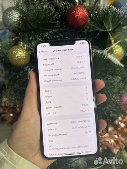 iPhone Xs Max, 256 ГБ