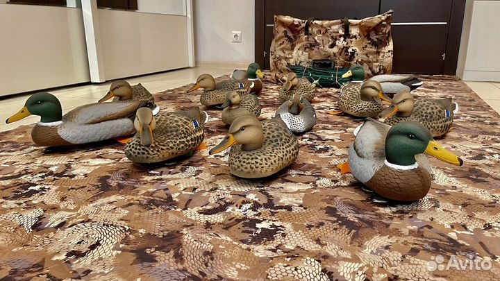 Утки чучела