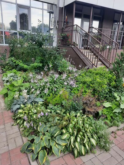 3-к. квартира, 81 м², 3/14 эт.