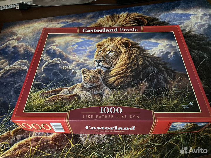 Пазл 1000 деталей Castorland