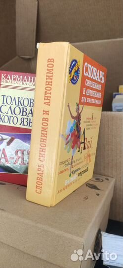 Словари школьника