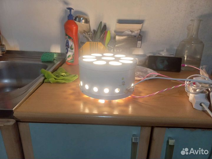 Лампа для яиц