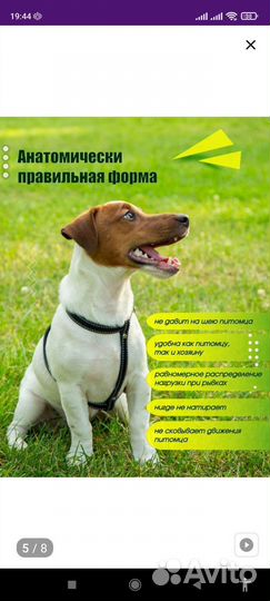 Шлейка для средней собаки