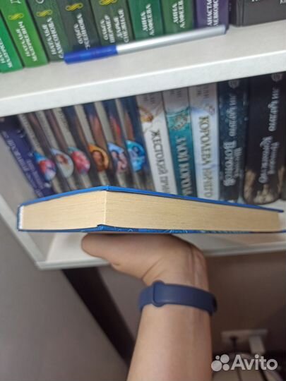 Кай Майер Мерле и каменный лев