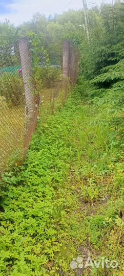 Забор из сетки рабицы, столбы, калитка, ворота бу