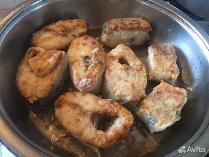 Пикша атлантическая