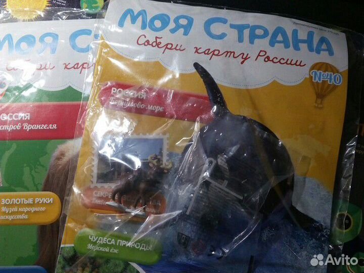 Собери карту россии