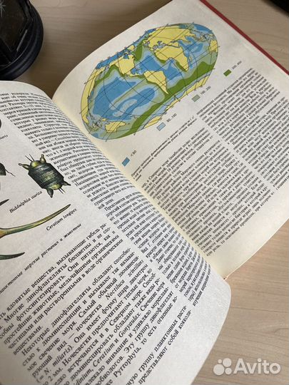 Растительный мир Земли (ГДР)