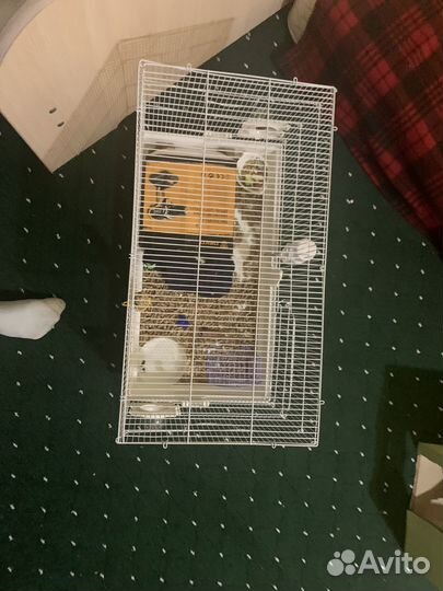 Клетка для грызунов
