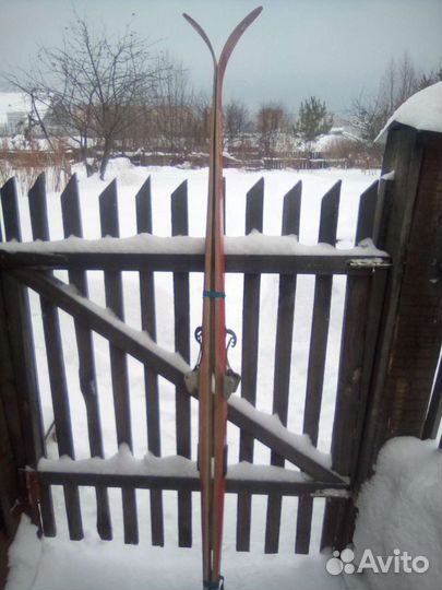 Лыжи деревянные