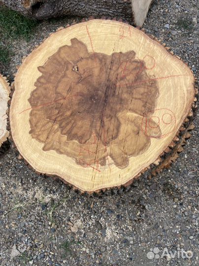 Ясень торцевые спилы