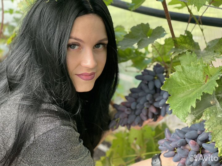 Черенки винограда