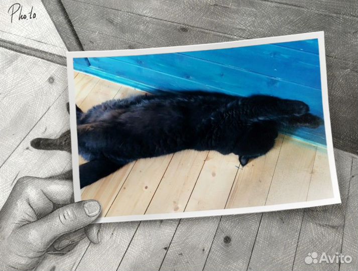 Редактирование фотографий