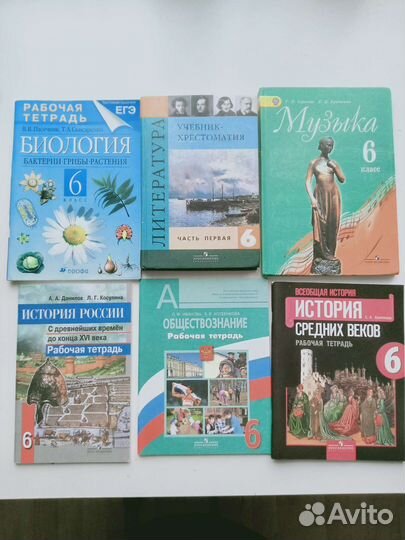 Учебники и рабочие тетради за 6 класс