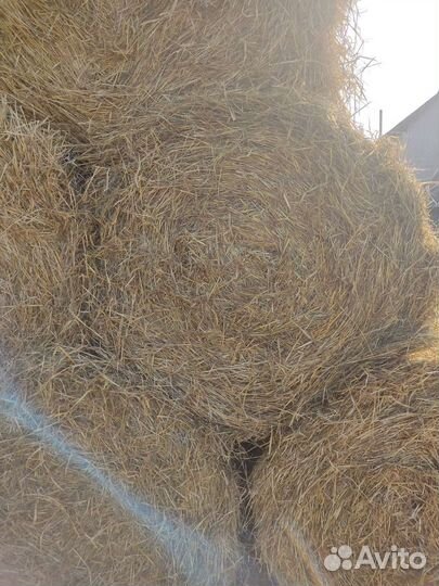 Солома в рулонах с доставкой