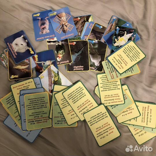 Набор карточек журнал Тошка