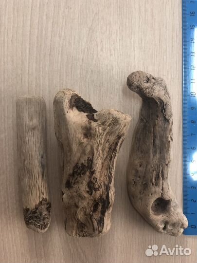 Дрифвуд, коряги, морские ракушки