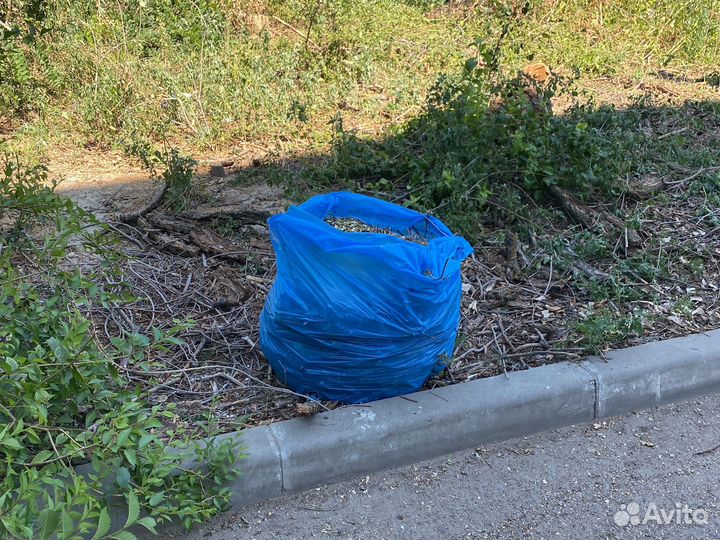 Древесная щепа, бревна