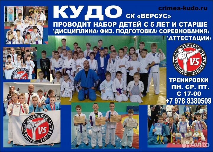 Смешанные единоборства