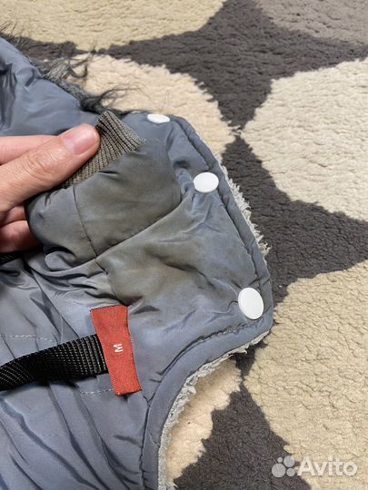 Комбинезон для собаки