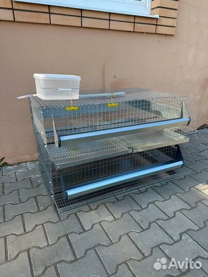 Клетки для перепелов на 100 голов